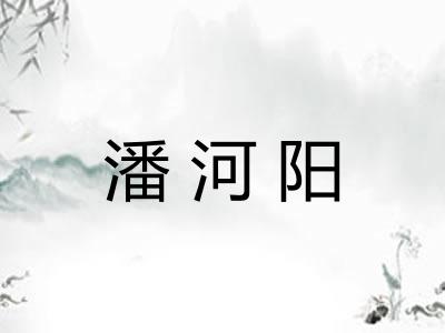 潘河阳