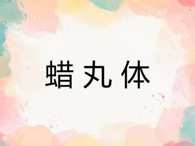 蜡丸体