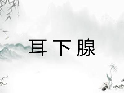 耳下腺