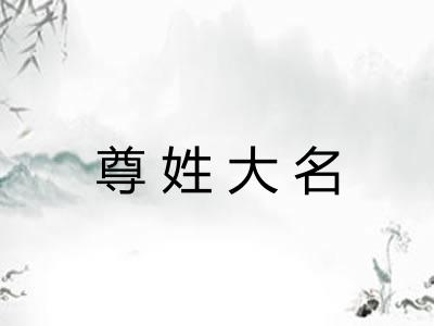 尊姓大名
