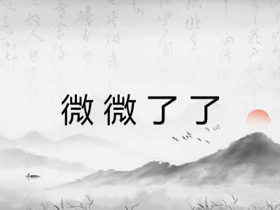 微微了了