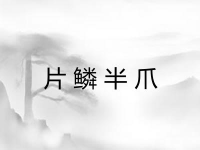 片鳞半爪