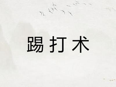 踢打术