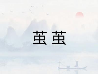 茧茧
