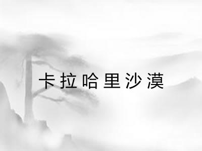 卡拉哈里沙漠