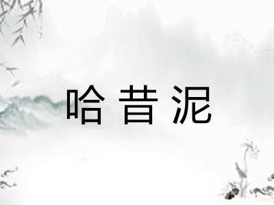哈昔泥 哈昔泥