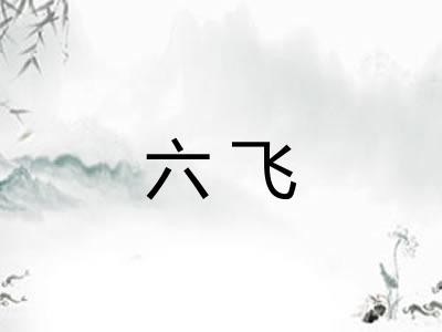 六飞