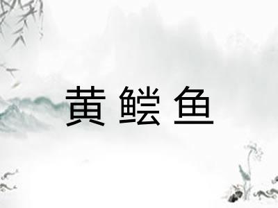 黄鲿鱼