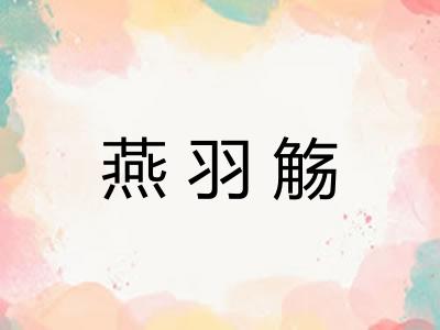 燕羽觞