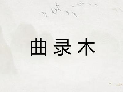 曲录木