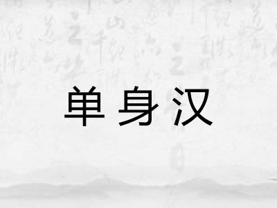 单身汉