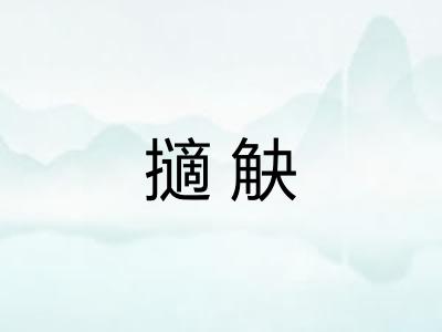 擿觖