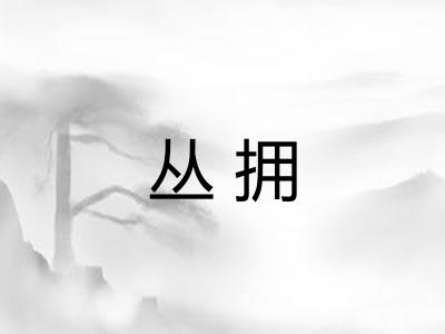 丛拥