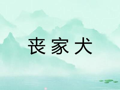 丧家犬