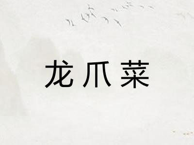 龙爪菜