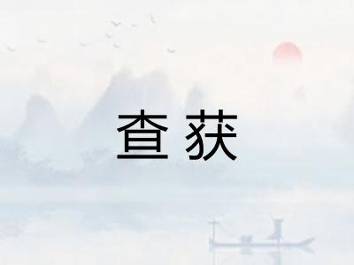 查获
