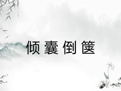倾囊倒箧