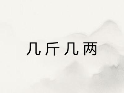 几斤几两