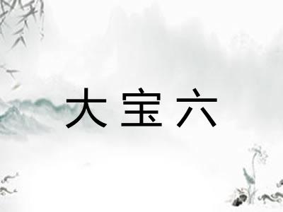 大宝六
