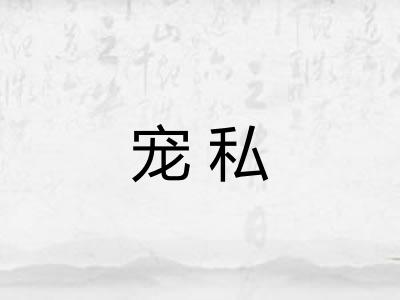 宠私