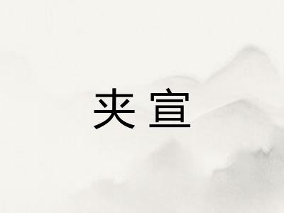 夹宣
