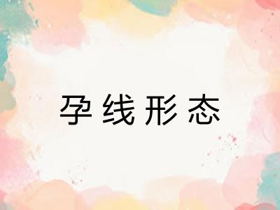 孕线形态