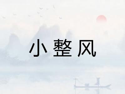 小整风