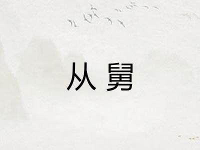 从舅