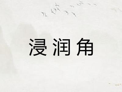 浸润角