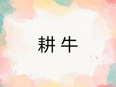耕牛