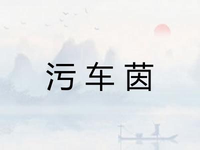 污车茵
