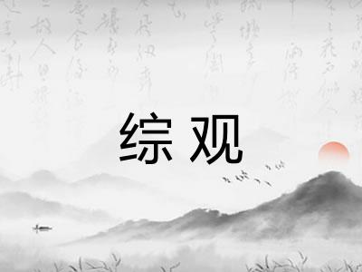 综观