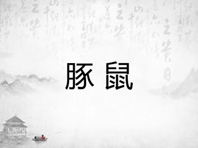 豚鼠