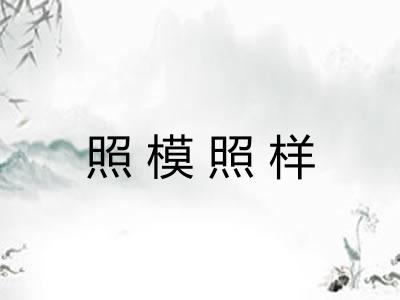照模照样