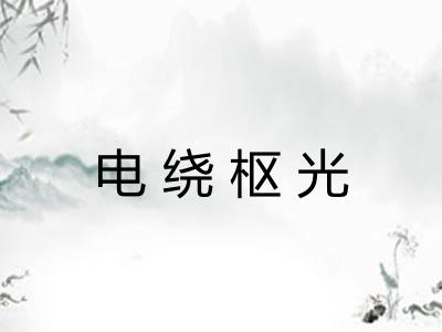 电绕枢光