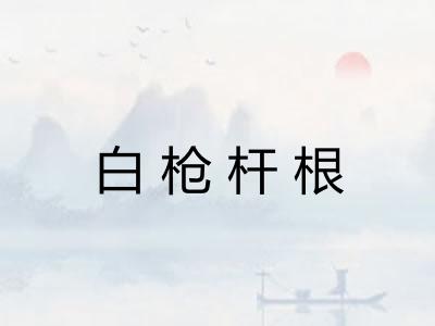 白枪杆根