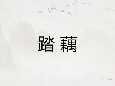 踏藕