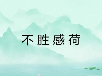 不胜感荷