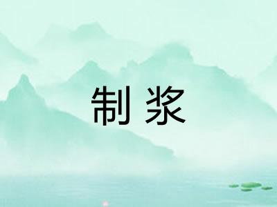 制浆