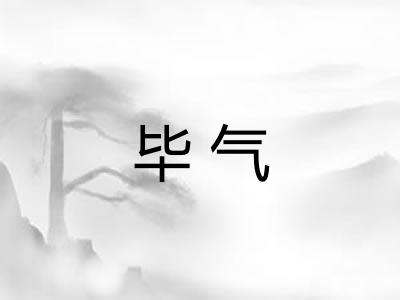 毕气