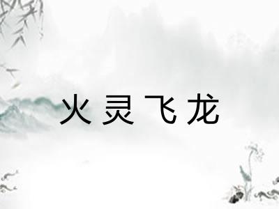 火灵飞龙