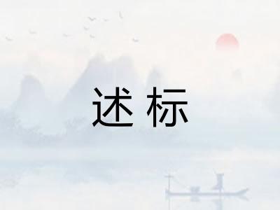 述标