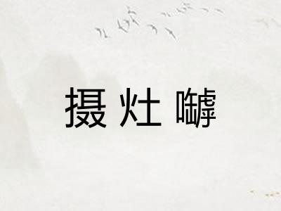 摄灶嚹