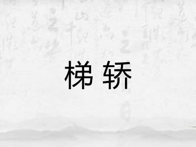 梯轿