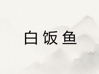 白饭鱼