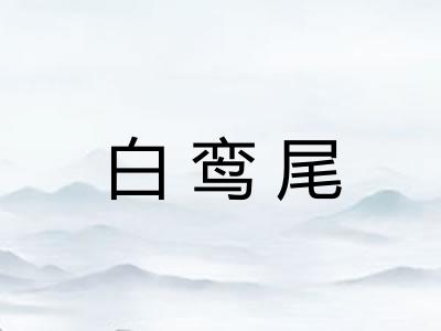 白鸾尾