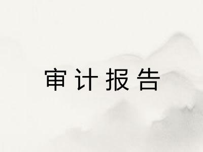 审计报告
