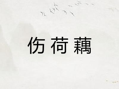 伤荷藕