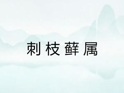 刺枝藓属