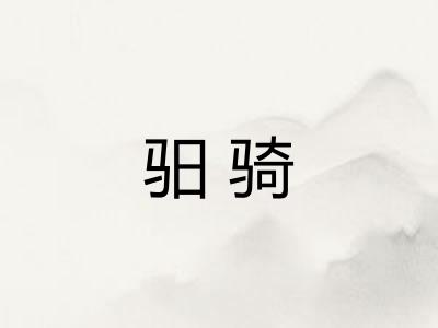 驲骑